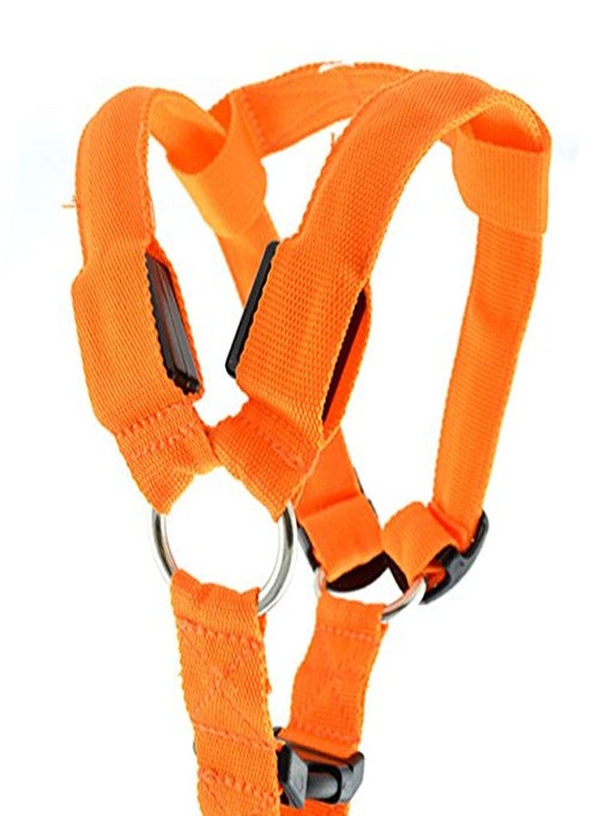Futaba Dog LED Harness Flashing Light 3 Mode - Orange - Medium - Image 4